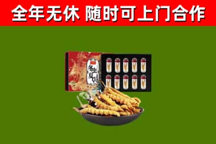 武威市回收冬虫夏草价格